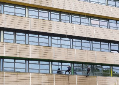 Pressure Washing Services