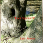 Sally Startup's excellent fantasy novel